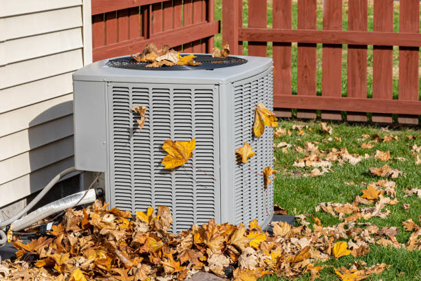 Best HVAC cleaning services  in Newton, IL